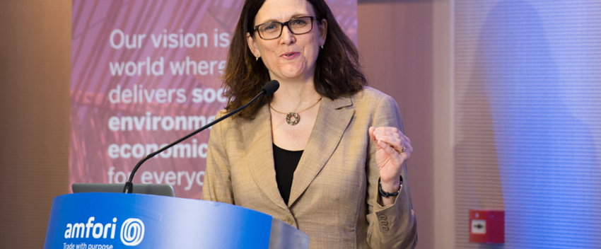 bsci参与者有什么不同